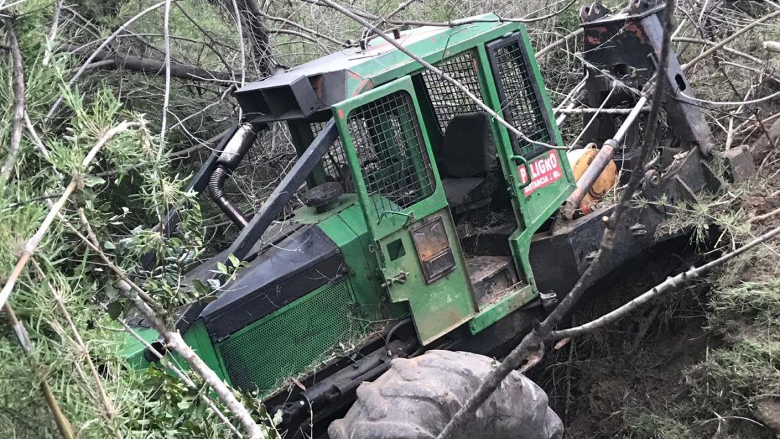 Trabajador fallece al interior de faena forestal en O'Higgins
