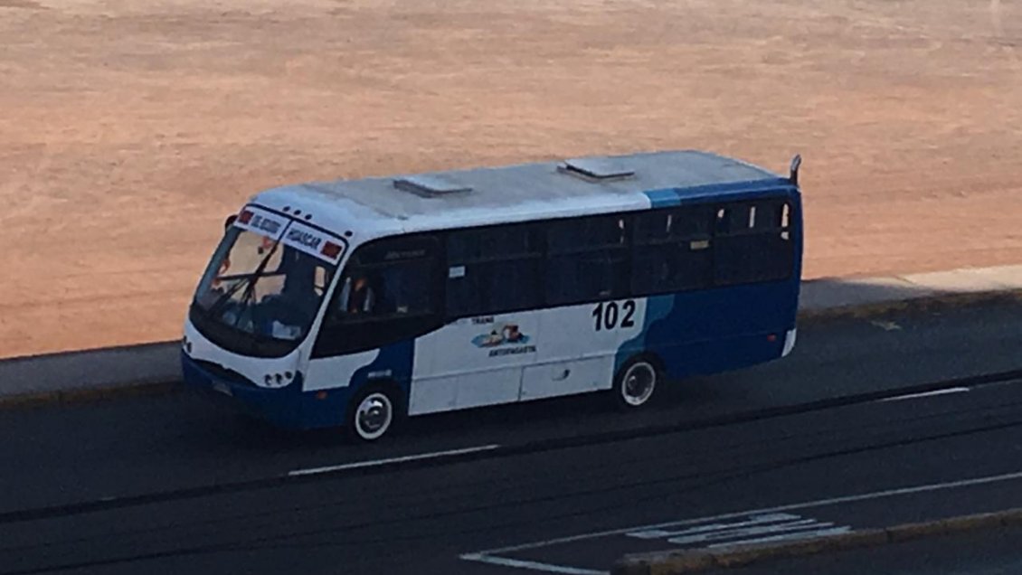 Pasajes de la locomoción colectiva bajarán este jueves en Antofagasta
