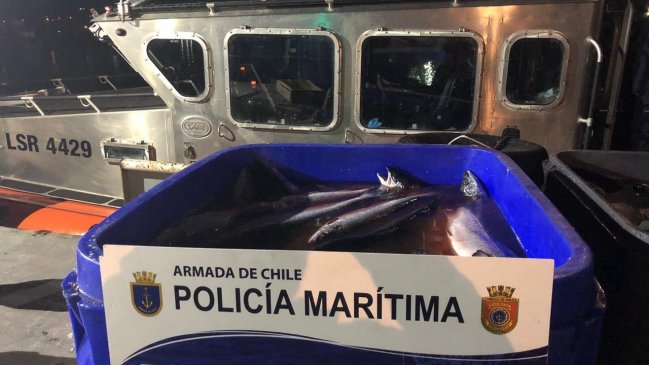 En libertad quedaron tripulantes detenidos con millonaria carga de salmón en Quellón