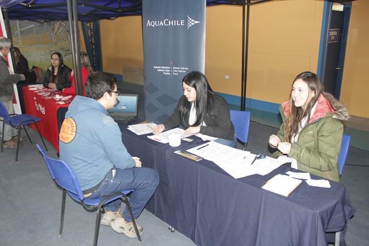 Primera Feria de Empleo y Emprendimiento de Puerto Natales ofreció 150 cupos laborales
