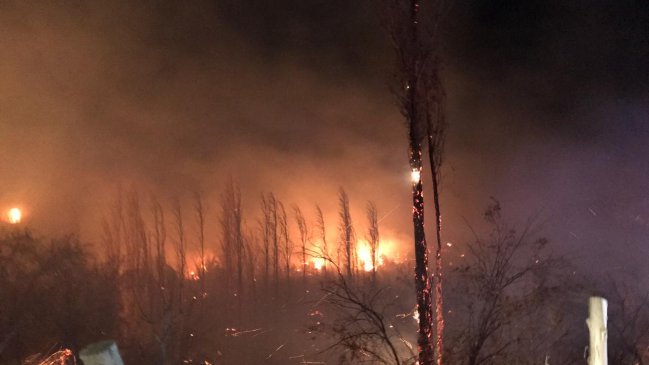 Imagen foto_00000003