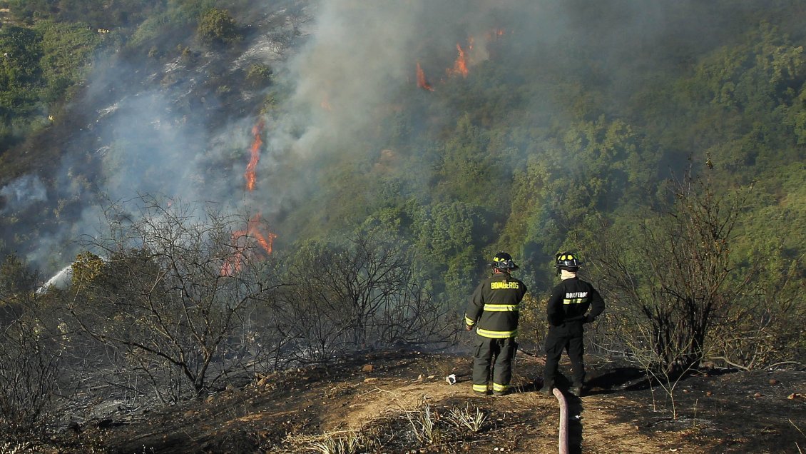 Incendio forestal consumió 22 hectáreas en Monte Patria