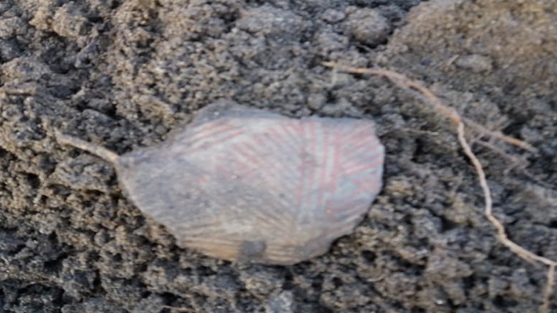 Imagen foto_00000003