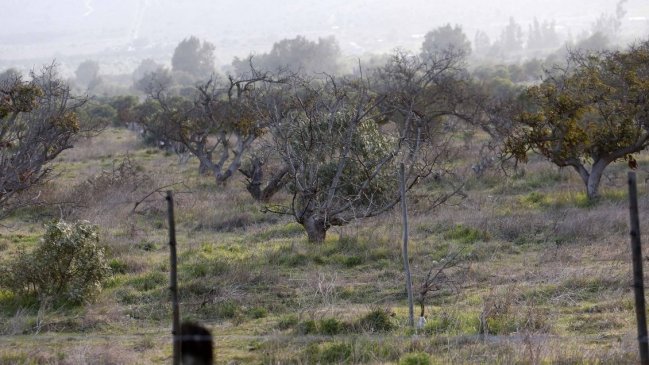 Experto: Es muy difícil que la sequía en Chile se pueda revertir; se va a ir profundizando