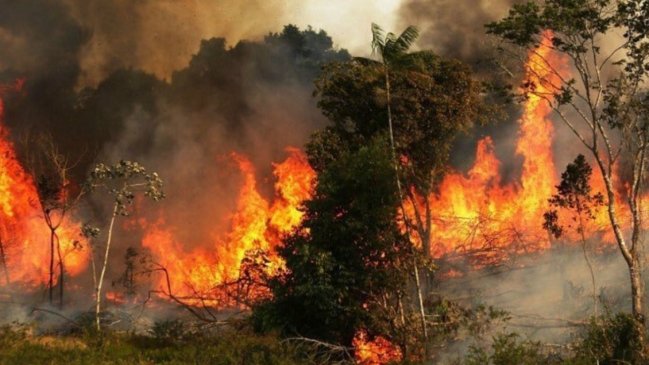 Chile ofrece ayuda a Brasil y Bolivia para combatir incendios en la Amazonía