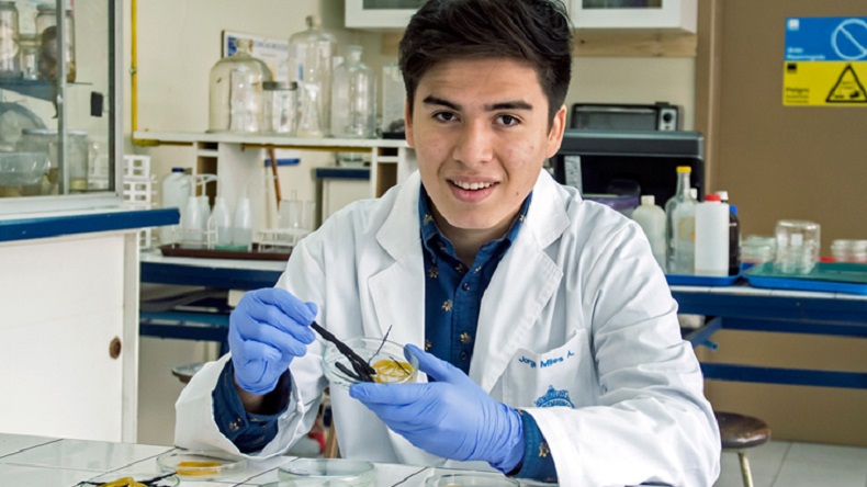 Chileno descubrió bacteria que 