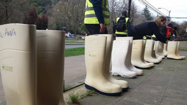 Botas blancas, banderas negras y aceite de jibia: Trabajadoras de la pesca funan a diputados