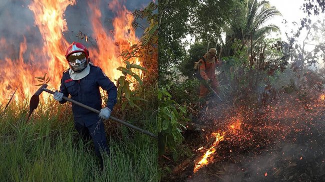 Amazonía: Coordinadora indígena declara no gratos a Brasil y Bolivia por 