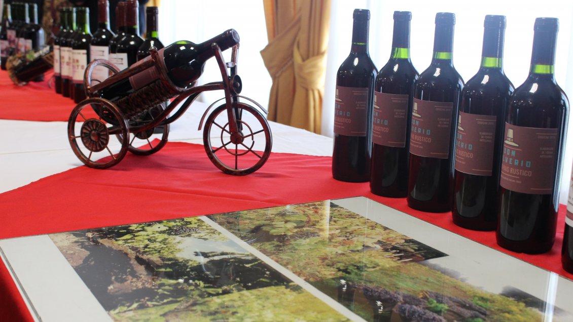 Mesa del Vino del Biobío se prepara para conformar una ruta turística regional