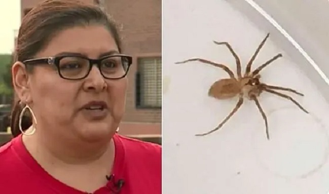 Imagen foto_00000002