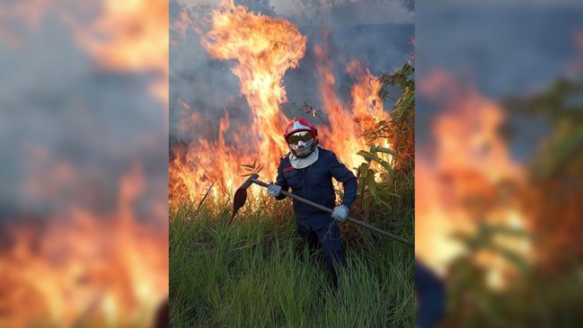 Brasil intensifica sus esfuerzos ante el avance de las llamas en la Amazonía