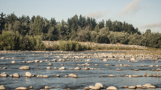 Regantes piden evaluar a la Región de Ñuble como zona de emergencia agrícola