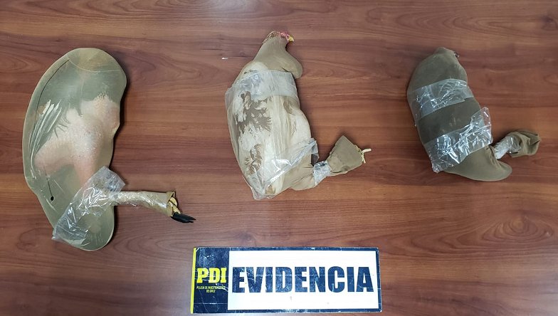 Imagen foto_00000002