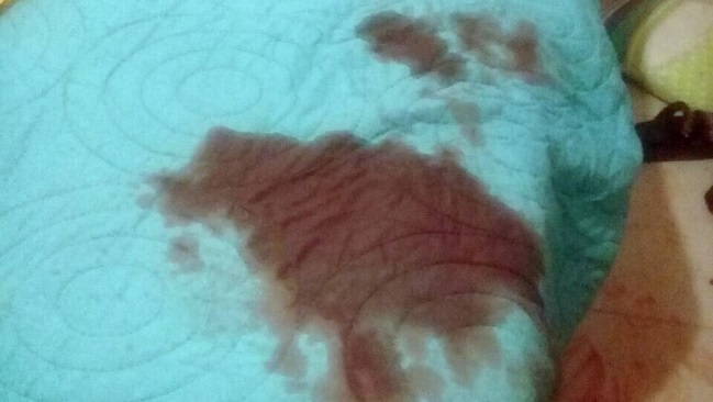 Imagen foto_00000002