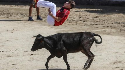  España: Nueve heridos en el primer encierro de San Sebastián de los Reyes  