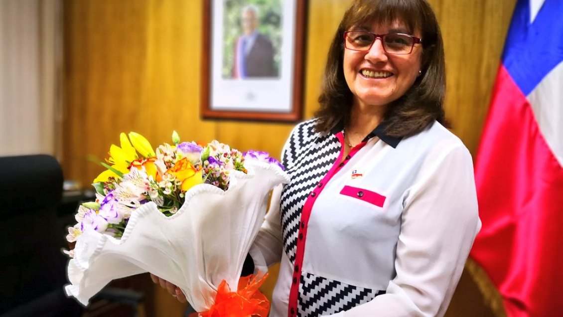 Intendenta de Arica y Parinacota renuncia al cargo: Ya tiene reemplazante