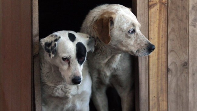 Inédita condena por 