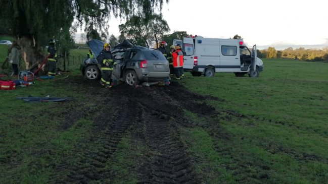Joven falleció tras chocar contra un árbol en Puyehue