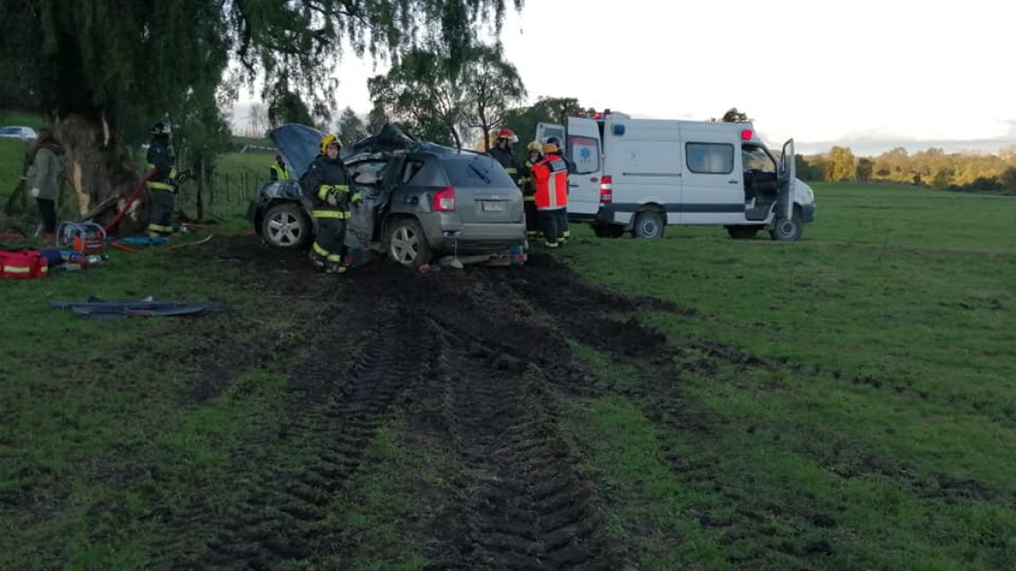 Joven falleció tras chocar contra un árbol en Puyehue