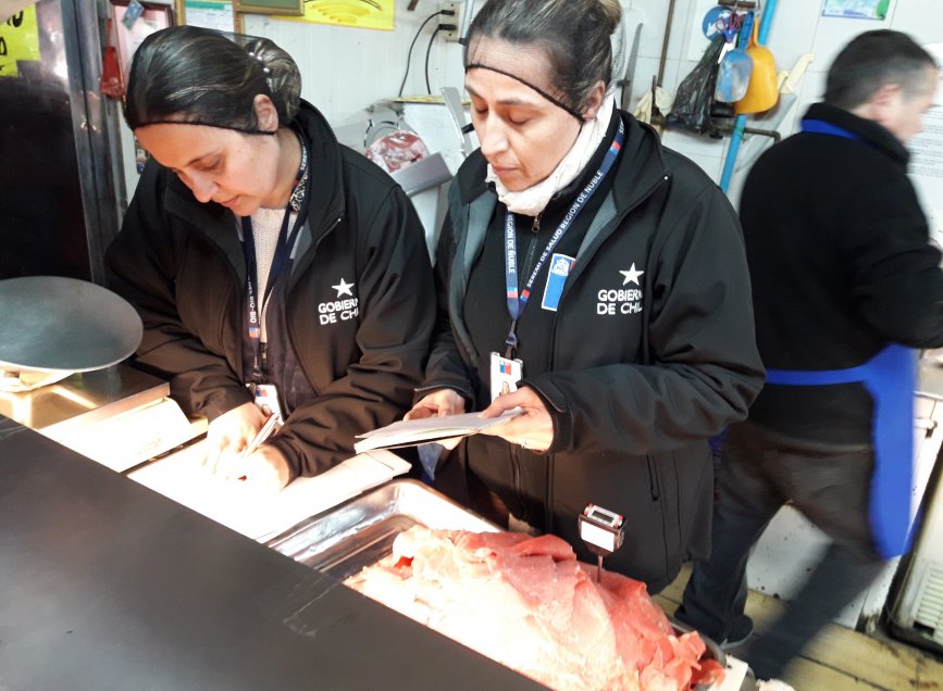 Tres sumarios en inicio de fiscalización a carnicerías previo a Fiestas Patrias en Chillán
