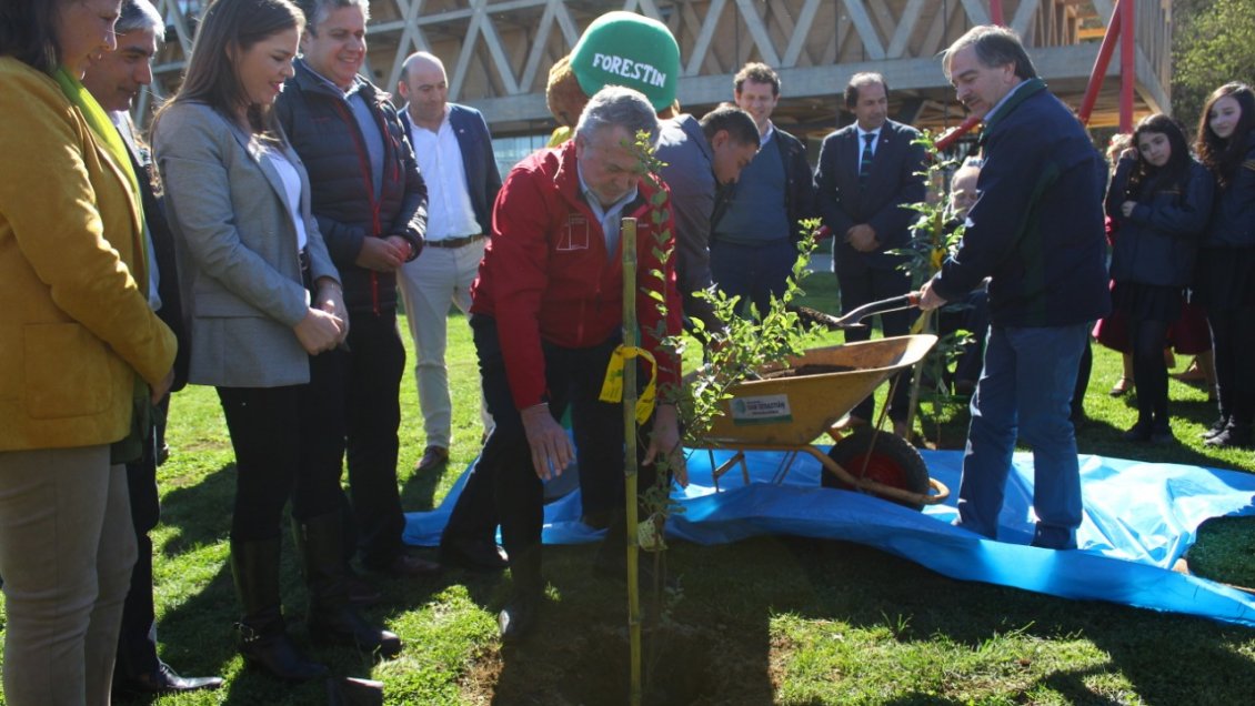 Agenda Ciudadana COP 25 ya es una realidad en Temuco