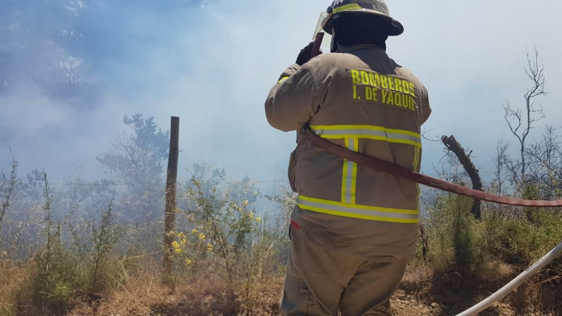 Adelantan inicio de temporada de incendios forestales en O'Higgins