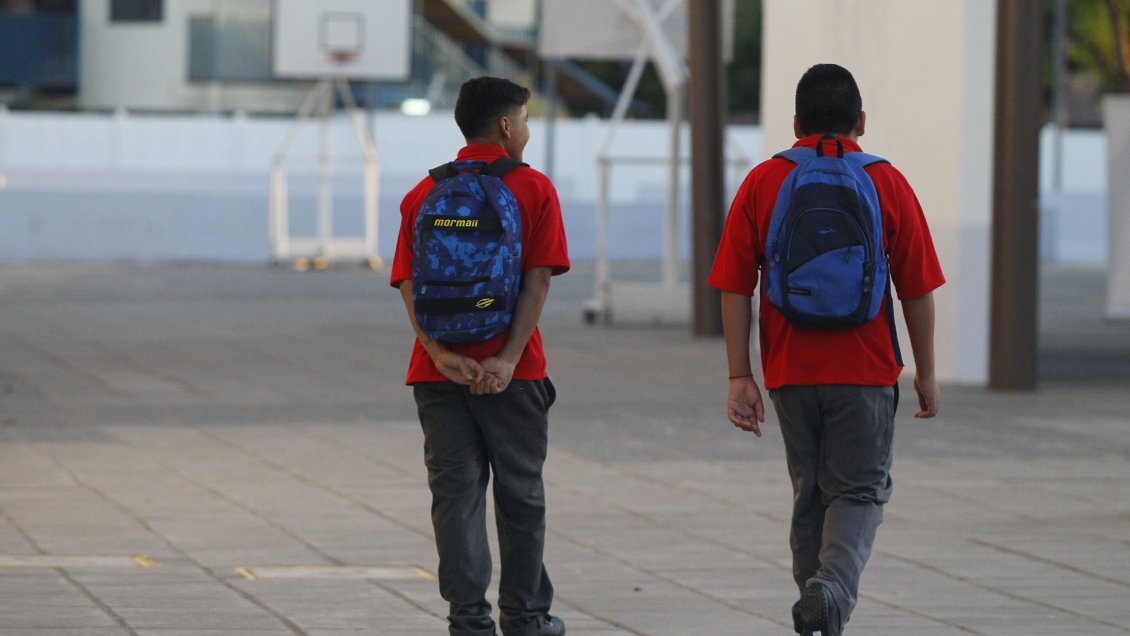 Comisión de Educación revisa proyecto para evitar 