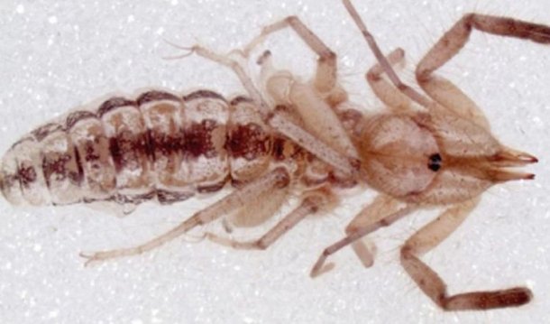 Imagen foto_00000001