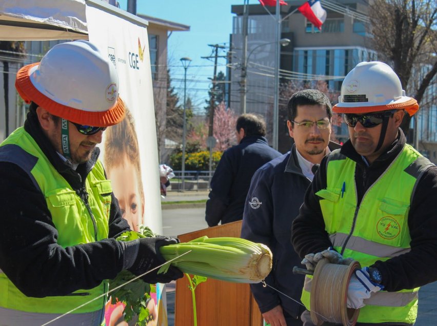 Autoridades de Ñuble llaman a disfrutar tradición del volantín sin usar hilo curado