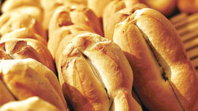 Porteños iniciaron campaña para 