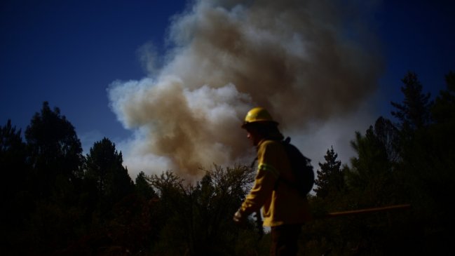 Brigadistas de Conaf apoyaron las 40 horas y respondieron a Melero: 