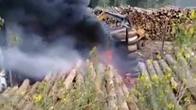 Denuncian ataque incendiario en predio de forestal Mininco ubicado en Contulmo