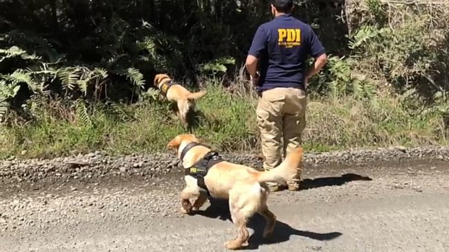 Encontraron un cadáver en canal de regadío en Freire