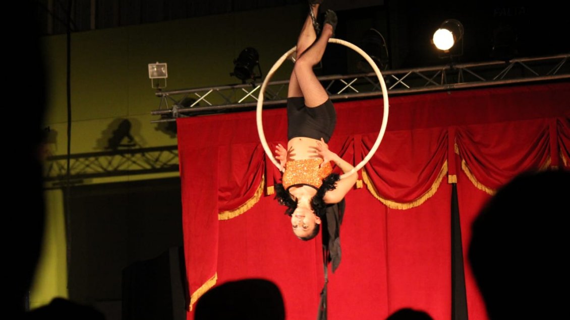 Talleres y funciones abiertas conmemorarán el Día Nacional del Circo en Alto Hospicio