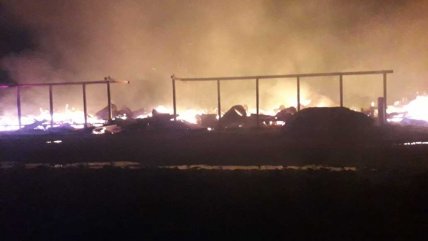  Gobierno anunció querellas por ataque incendiario a empresa Colbún  