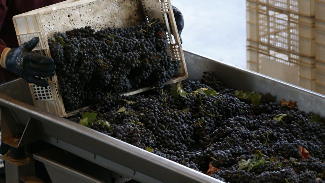 Exportaciones chilenas registraron su mayor caída del año en agosto