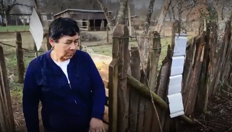 Imagen foto_00000001