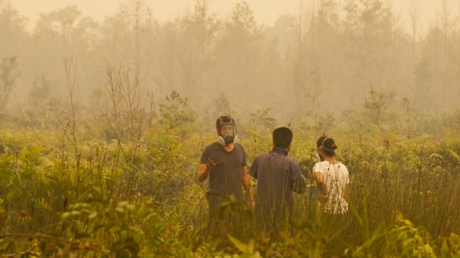 Cierran cientos de colegios en Malasia e Indonesia por el humo de incendios