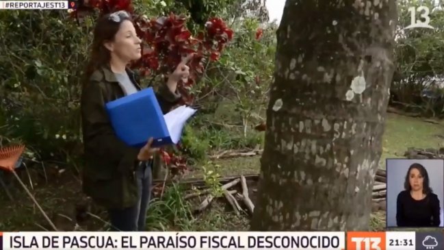 La entrevista de Constanza Santa María con un árbol que sacó risas en redes