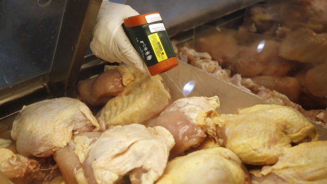 Coquimbo: Decomisan 161 kilos de carne previo a Fiestas Patrias