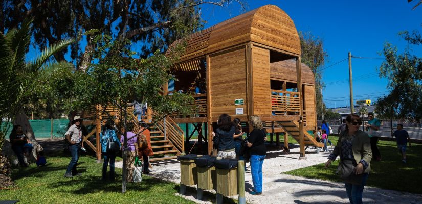 Aprueban recursos para el estudio y resguardo del patrimonio arqueológico en el Parque Centenario de Arica