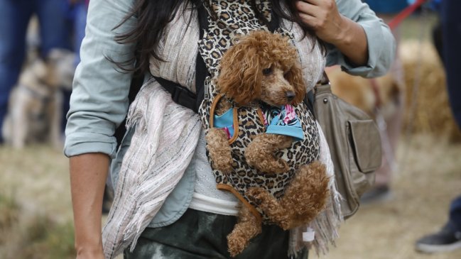 Imagen foto_00000004