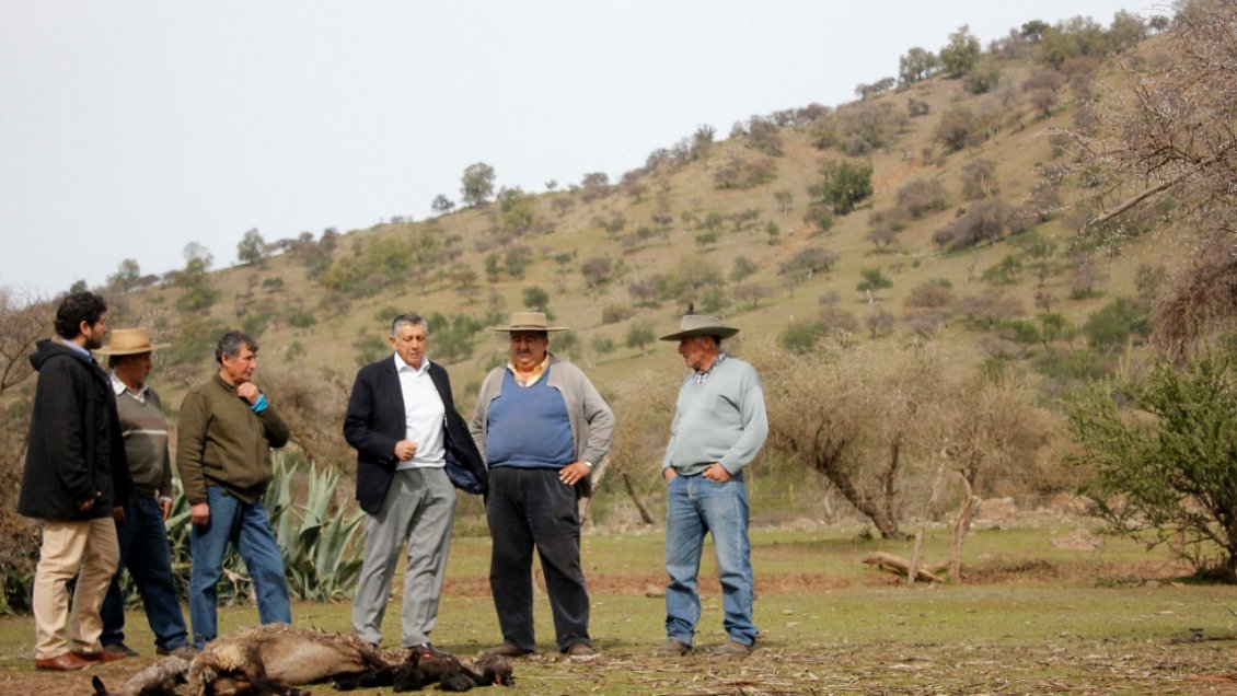Autoridades del Maule exigen rápida respuesta a emergencia agrícola: 