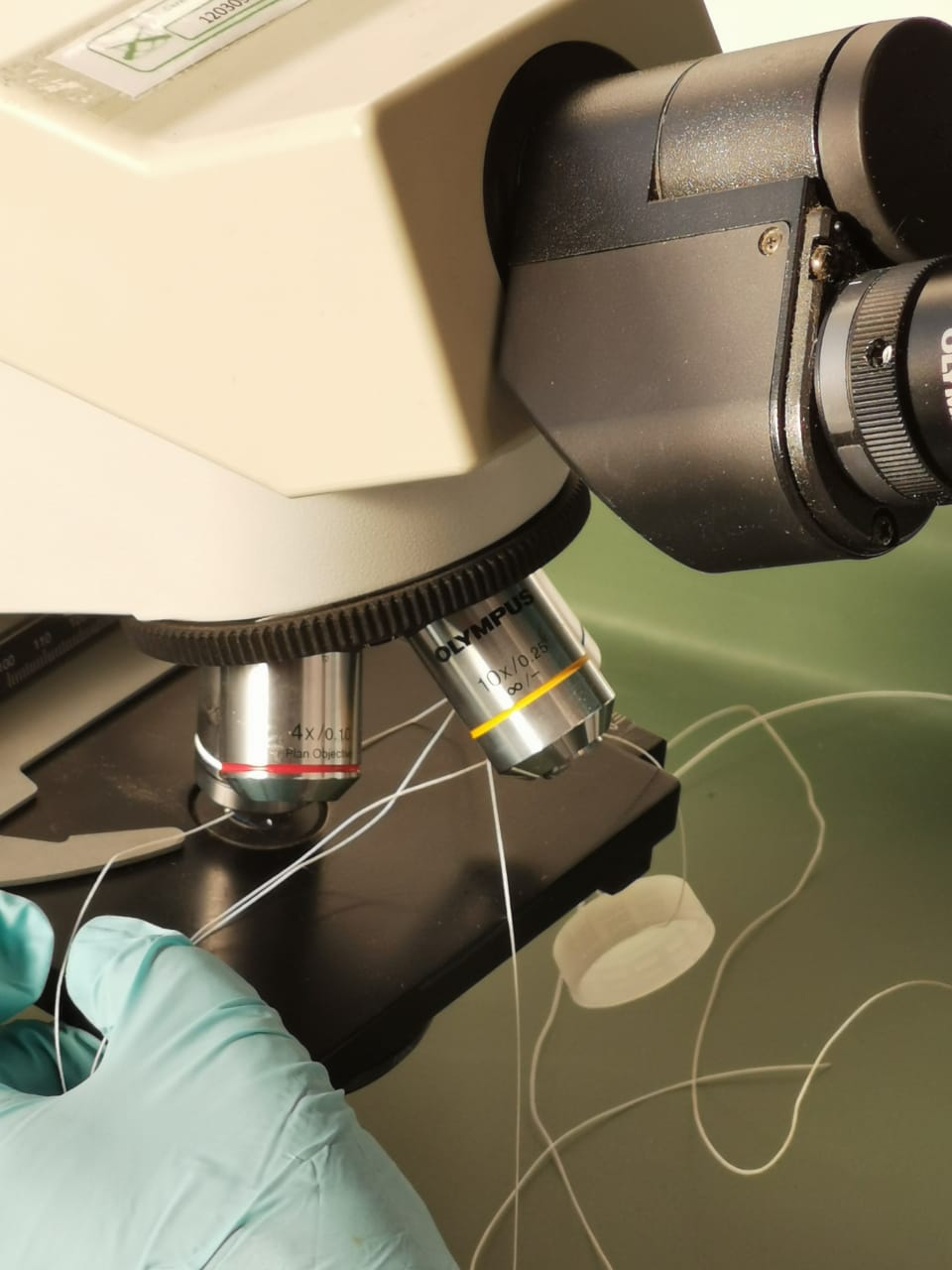 Imagen foto_00000002