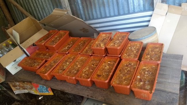 Clausuran fábrica de cecinas clandestina en Coelemu: Decomisan productos en mal estado