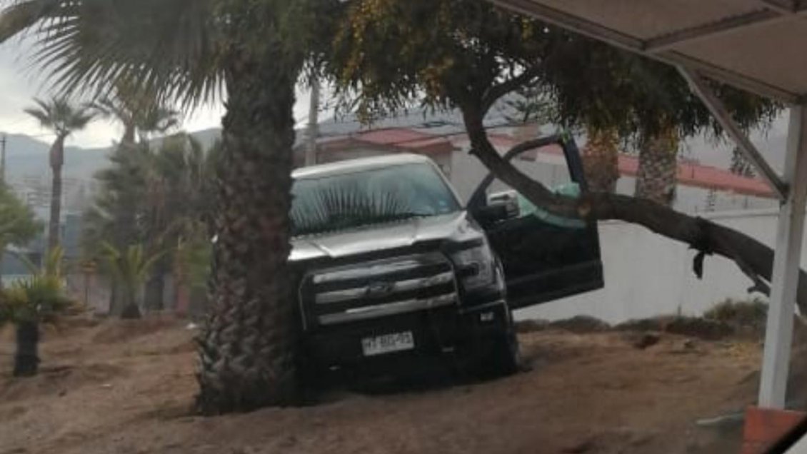 Detienen a hombre que se durmió al volante y chocó con una palmera en Antofagasta