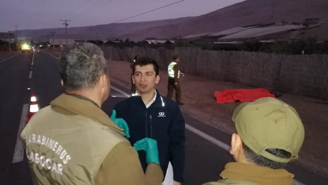 Arica: Una mujer falleció tras ser atropellada en el sector de San Miguel de Azapa