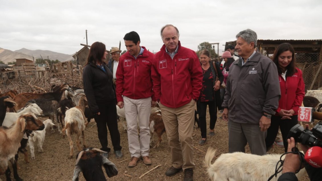 Decretan zona de emergencia agrícola por sequía en Atacama