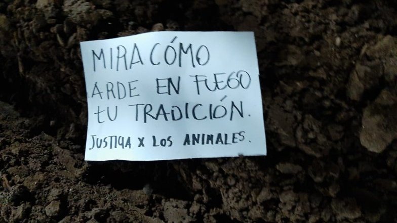 Imagen foto_00000017