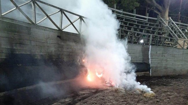 Animalistas provocaron incendio que dañó medialuna de La Ligua